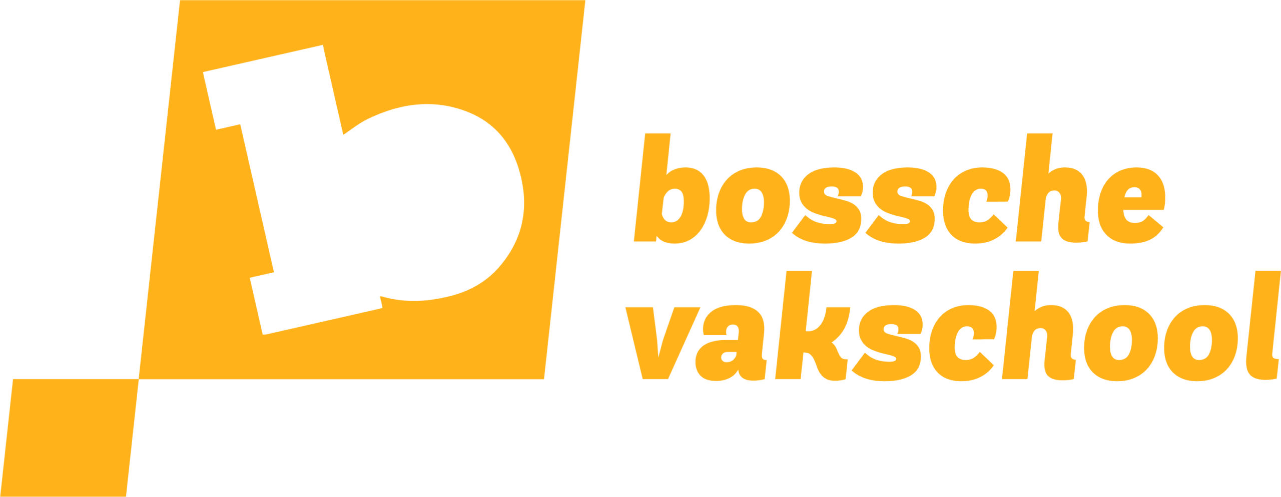 logo-bossche-vakschool